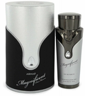 Armaf Magnificent Pour Homme Eau de Parfum | Grapefruit Ginger Vanilla Cedar Patchouli | Men 3.4 oz