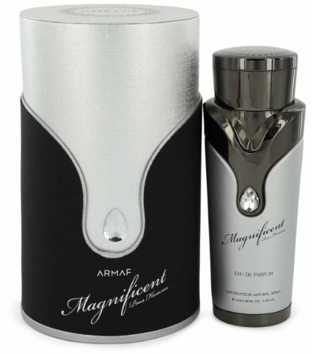 Armaf Magnificent Pour Homme Eau de Parfum | Grapefruit Ginger Vanilla Cedar Patchouli | Men 3.4 oz
